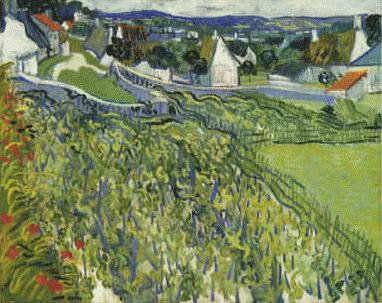 Vincent Van Gogh Vineyards at Auvers oil painting image